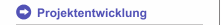 Projektentwicklung